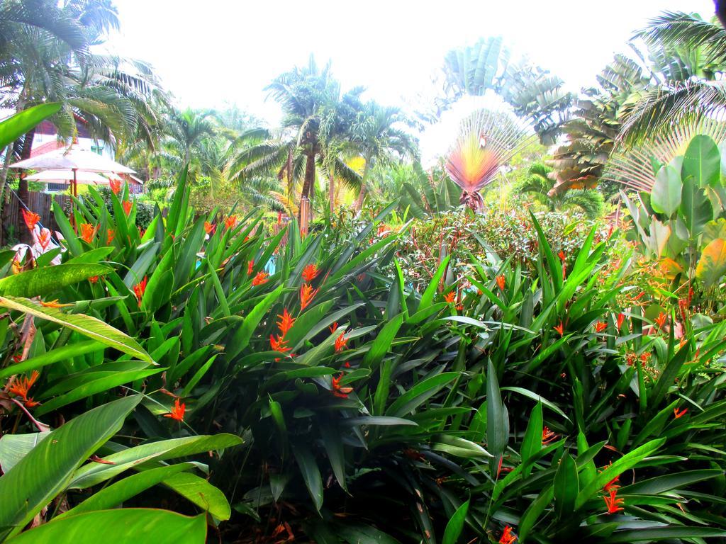 Happiness Resort Ban Klong Haeng Bagian luar foto