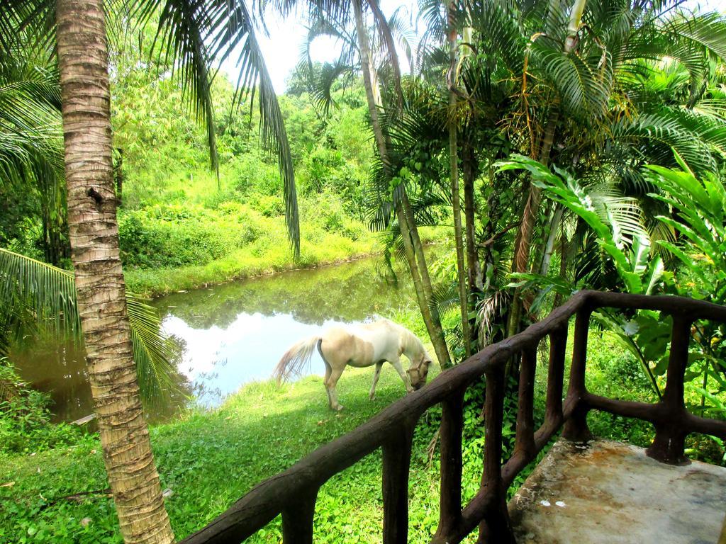 Happiness Resort Ban Klong Haeng Bagian luar foto