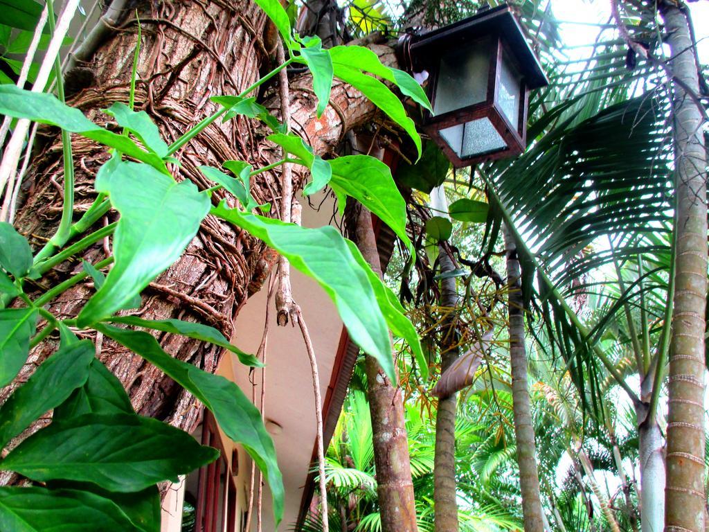 Happiness Resort Ban Klong Haeng Bagian luar foto